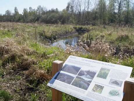 Chantier nature : un coup de pouce au marais !
