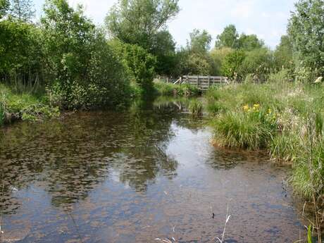 Sortie nature à Vesles-et-Caumont : "Découverte de la réserve"