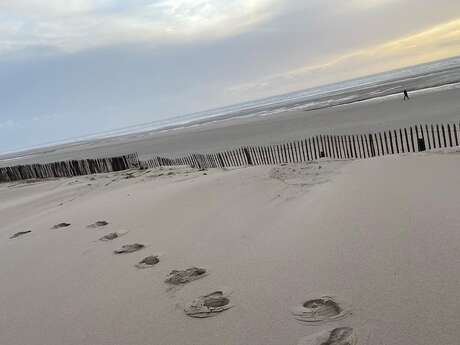 Marche méditative sur la plage Marche méditative sur la plage