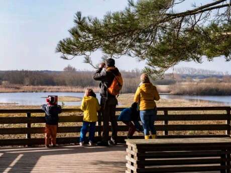 Découverte des oiseaux hivernants