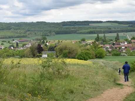 Randonnée guidée au cœur des espaces naturels protégés : des prairies humides gérées jusqu’au Mont César.