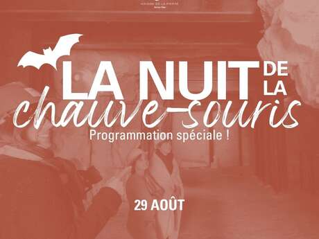 Nuit de la chauve-souris | Jeu de piste