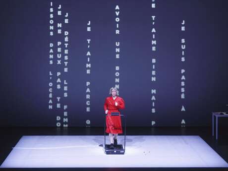 Théâtre-performance : NEXT / AUTOPSY D’UN MASSACRE AMOUREUX