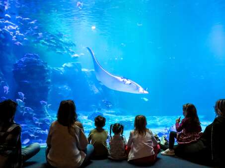 Nausicaà Centre National de la Mer