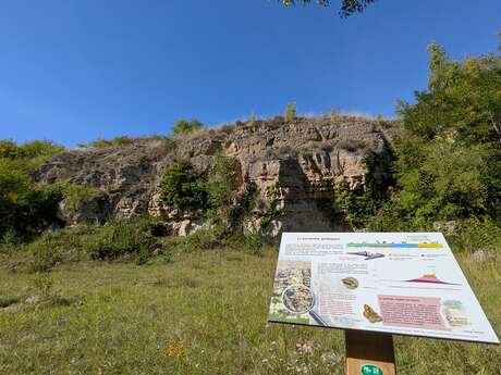 Sortie nature à Oeuilly : "Un peu de géologie en bonne compagnie !"