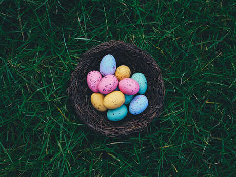 Chasse aux oeufs à Laon (ville haute)