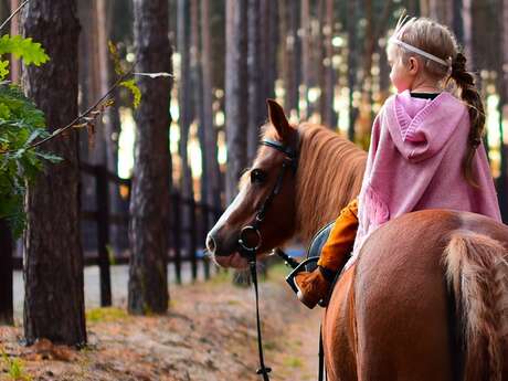 A poney sur les pas de d'Artagnan