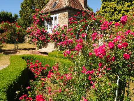 Atelier de taille de rosiers