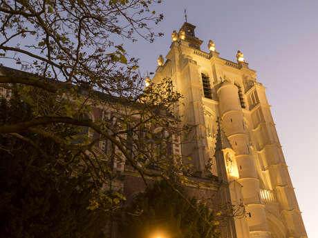 Collégiale Saint-Pierre