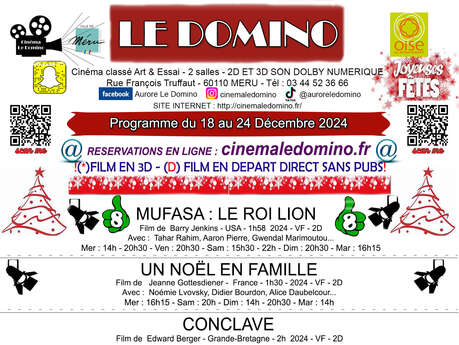 Programme Cinéma Le Domino