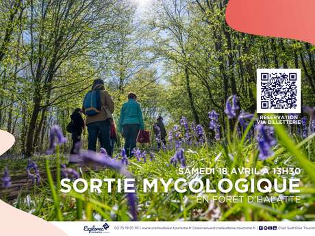 Sortie printanière en forêt d'Halatte