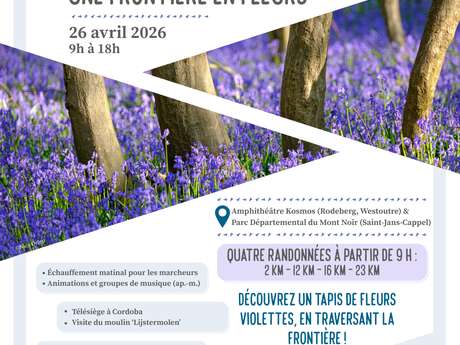 Le festival des jacinthes, une frontière en fleurs