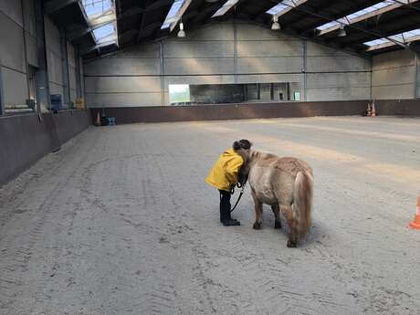 Médiation Poney Médiation Poney