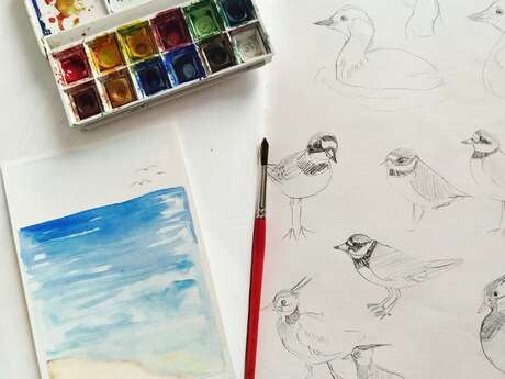 Atelier "Paysage de la baie et sa faune à l'aquarelle"
