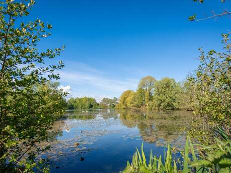 Les Etangs de la Ballastière