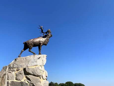 Mémorial terre-neuvien de Beaumont-Hamel