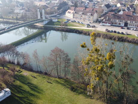Berges de l'Oise à Saint-Maximin