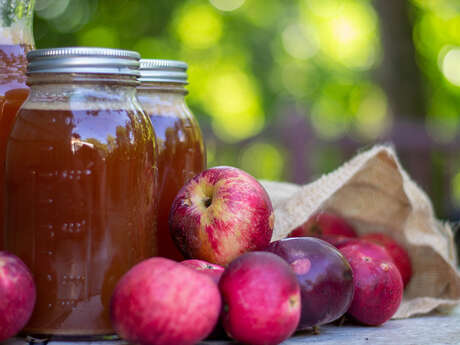 Atelier à Bouconville-Vauclair : "Plantes et boissons"