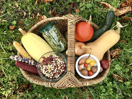 Ateliers de jardinage