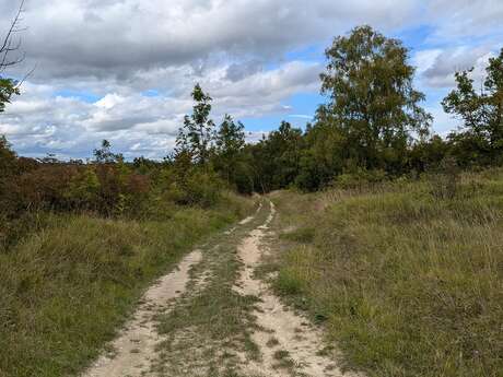 Sortie nature à Cerny-en-Laonnois : "La nuit tous les papillons ne sont pas gris !"