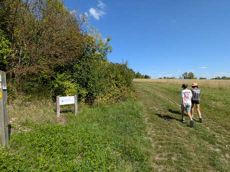 Pelouse calcicole de Chermizy-Ailles