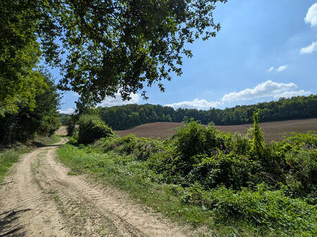 Sortie nature à Concevreux : "Rando-nature à Concevreux"