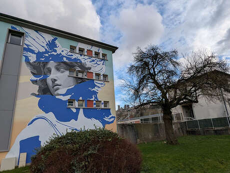 Visite guidée autour du street art à Laon (quartier Montreuil)