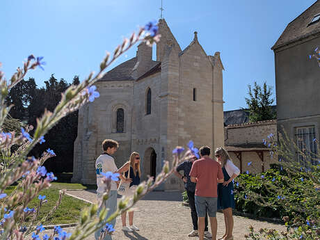 Visite guidée de la cité médiévale de Laon