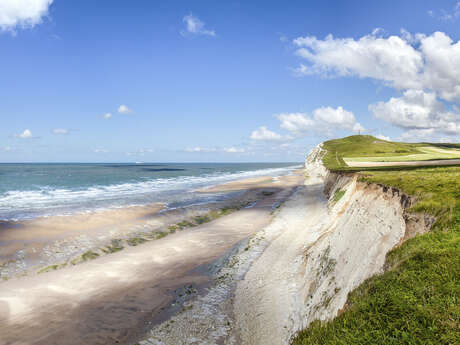 Balade en haut des falaises du Cap Blanc Nez