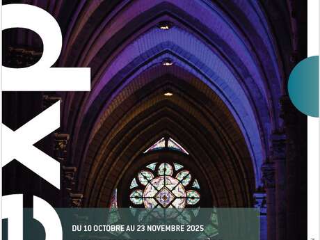 Exposition « Amiens, terre d’eau et de lumière » Nico Hatron