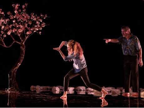 Théâtre "Je suis le vent" au phénix