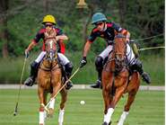 Polo Nations Cup à Apremont