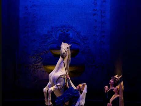 Spectacle équestre : "Kalendae" au château de Chantilly