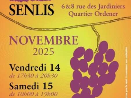 31e édition du salon des Vins de Senlis