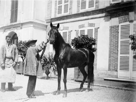 Exposition "Rosa Bonheur et le cheval" au Château de Chantilly