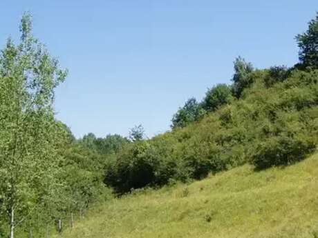 Réouverture d’un coteau 🦎