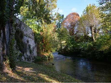 Visite guidée "L'eau à Senlis - source d'inspiration au cours des siècles"