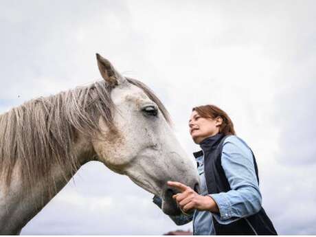 Balade bubolo-poétique en compagnie de Baïkal