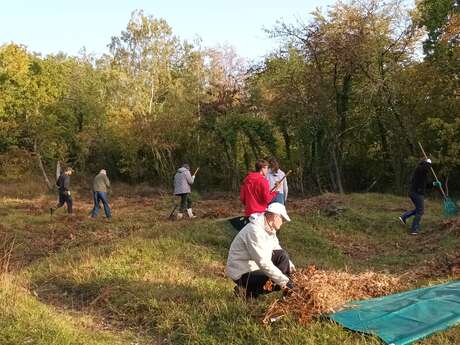 Chantier Nature - Aidez à entretenir le côteau !