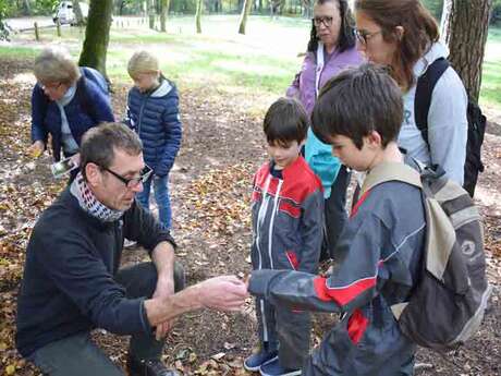 Chasse au trésor botanique en famille Chasse au trésor botanique en famille