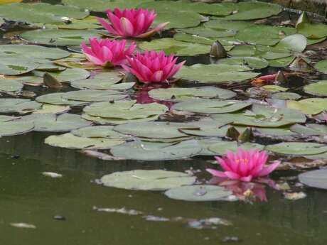 Jardins du Château de Puisieux et Clanlieu