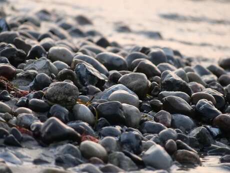 Les cordons de galets de la Mollière – un paysage sculpté par la mer au jour le jour