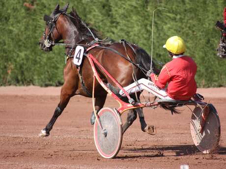 Course hippique : Trot Régional