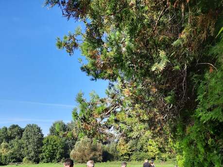 Visite découverte d’une cressonnière