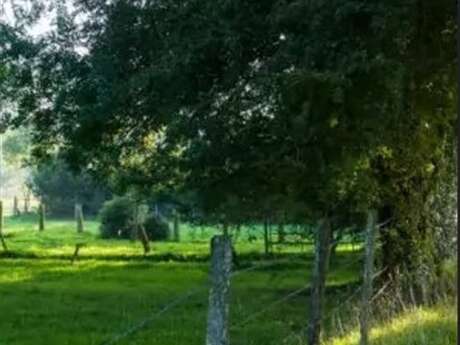 Ochancourt, son courtil et ses oiseaux