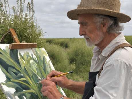 Plantes des mollières sous nos crayons