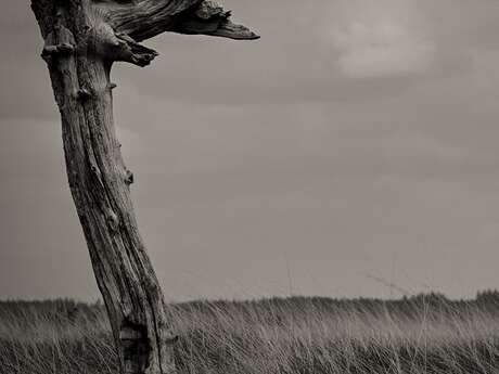Exposition photo : "ombres de vie, ombres d'acier" à Valenciennes