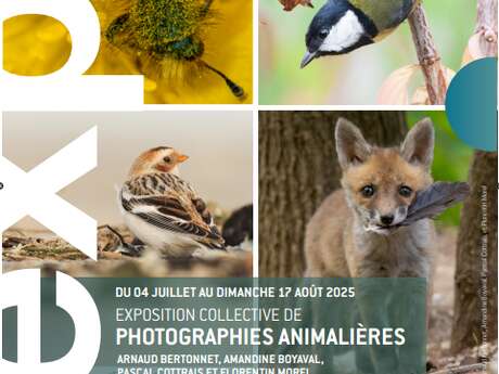 Exposition Collective de photographies animalières