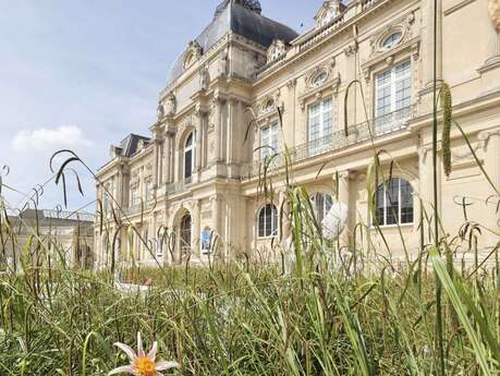 Atelier parent-enfant à quatre mains au Musée de Picardie