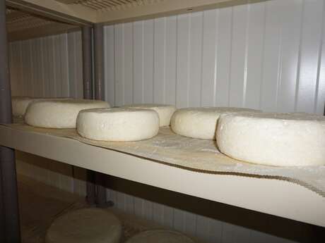 Ferme TOP